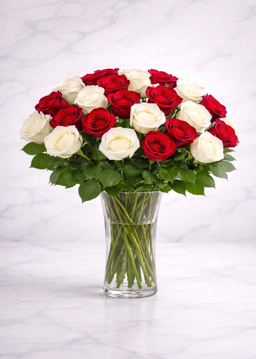 Red & White Rose Elegance (24 Roses)