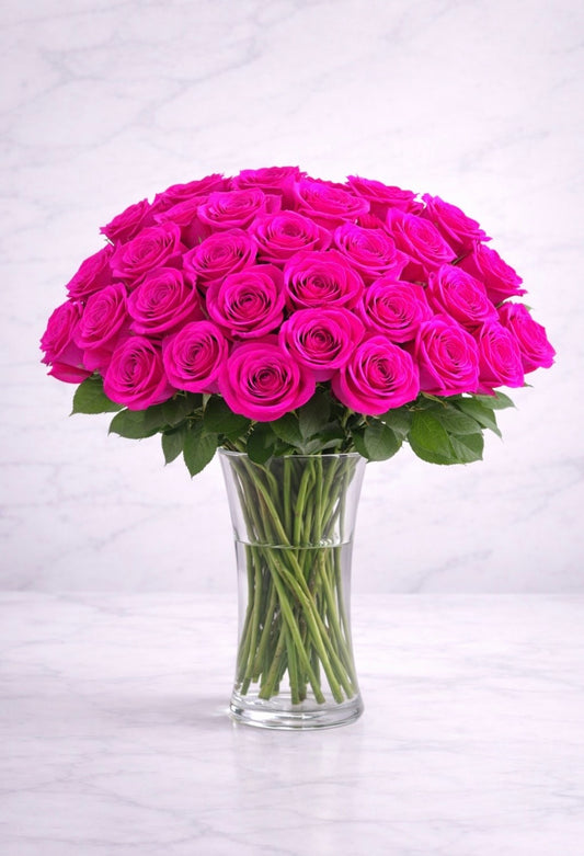 Fashion Diva (50 Roses)