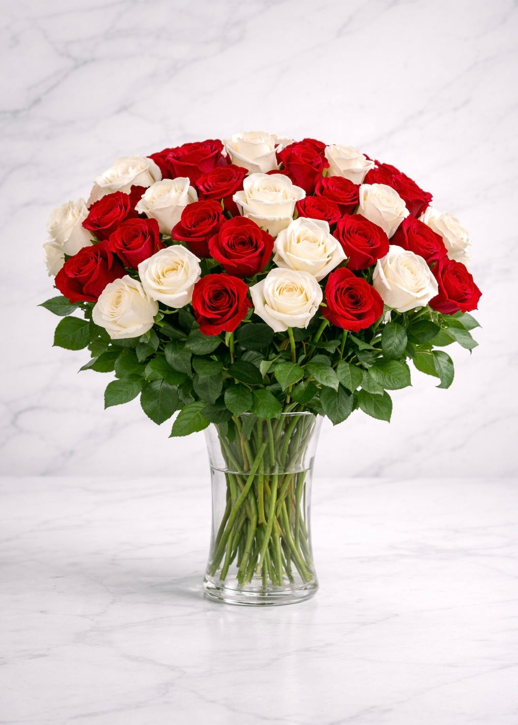 Red & White Rose Elegance (50 Roses)