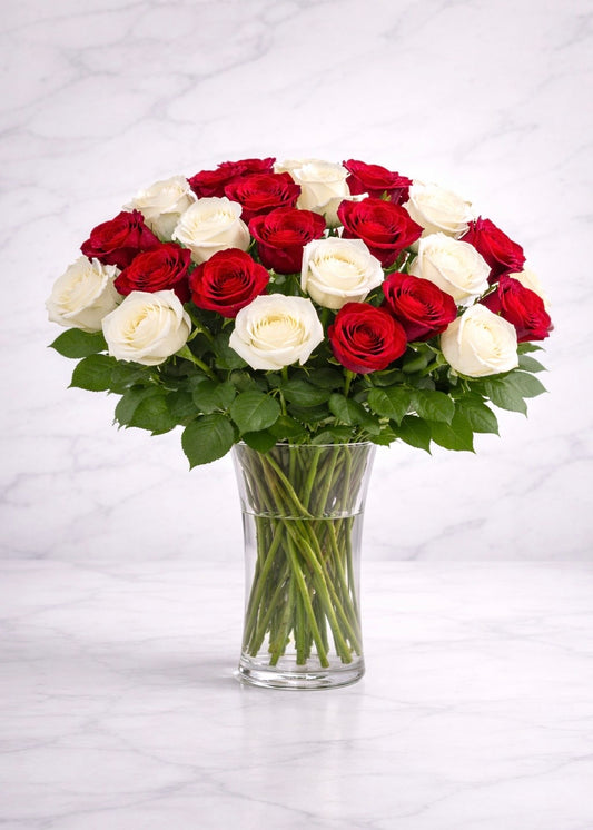 Red & White Rose Elegance (24 Roses)